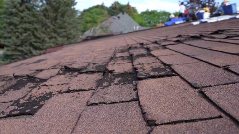 Best Skylight Installation and Repair  in Cascade Chipita Park, CO
