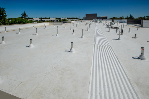 Best Roof Insulation Installation  in Cascade Chipita Park, CO